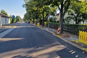 A petíció képe: Mit Bäumen planen und nicht gegen Bäume planen - Umdenken bei Straßenbauplanungen