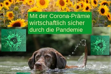 A petíció képe mit der Corona-Prämie besser gerüstet für zukünftige Infektionswellen