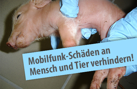 Foto e peticionit:Mobilfunk-Schäden an Mensch und Tier verhindern! 