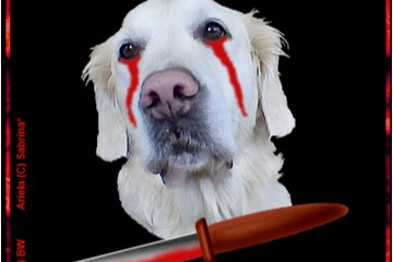 Image of the petition Mord ist auch an Tieren möglich