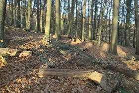Slika peticije:Mountainbikerfahrverbot in niedersächsischen Wäldern in der Brut- und Setzzeit