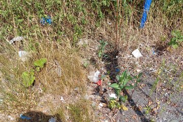 Image of the petition Mülleimer an der Marburger Straße