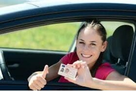 Dilekçenin resmi:Mutual Recognition of Albanian and Swedish Driving Licenses
