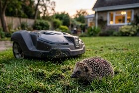 Bild der Petition: Nachtfahrverbot für Mähroboter im Kreis Groß-Gerau zum Schutz der Igel