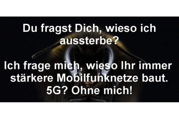 Bild der Petition Nachweisen, dass 5G den Insekten nicht mehr schadet, als das bisherige Mobilfunk-Netz.