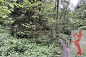 Bild der Petition: Nationalpark Rothaarkamm – jetzt!