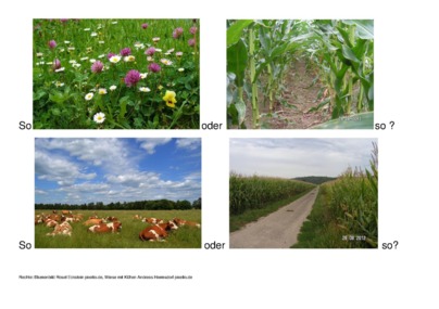 Slika peticije:Natürliche Viehweiden statt toter Maisfelder