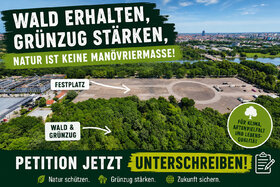 Bild der Petition: Natur ist keine Manövriermasse!  Stoppt den Waldverkauf am Cottaweg – Erhaltet den Naturraum