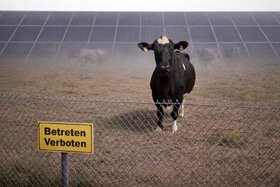 Bild der Petition: Natur vor Profit: Rettet das Naherholungsgebiet und die regionale Landwirtschaft in Hasslinghausen!