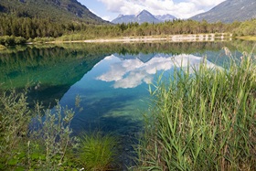 Bild der Petition: Natura 2000 Sünde verhindern, denn ein See soll verschwinden