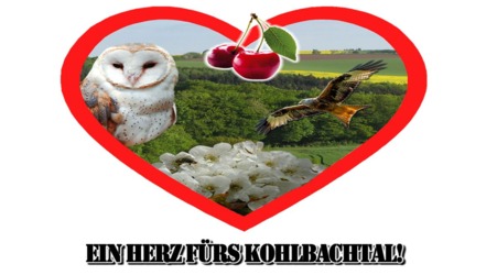 Slika peticije:Naturpark statt Windpark (keine Windkraftanlagen im Schächelwald + Ahlenwald (Hühnerkopf)