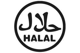 Slika peticije:Need Halal Food near principality stadium
