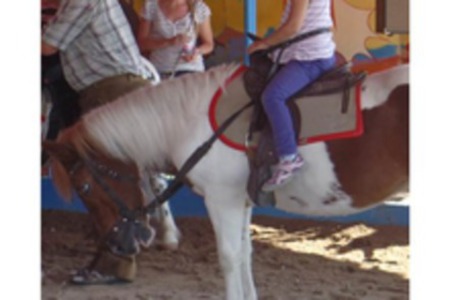 Foto da petição:NEIN danke zum Ponykarussell auf dem Kronacher Schützenfest!!