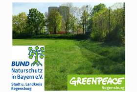 Picture of the petition:NEIN zu Kunststoff-Tennisplätzen im Landschaftsschutzgebiet am Weinweg! JETZT HANDELN!