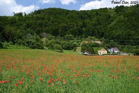Beeld van die petisie: Nein zu PV-Anlagen auf Andritzer Grünflächen