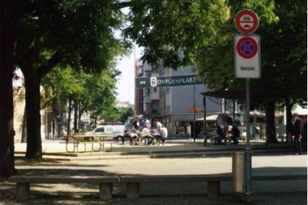 Picture of the petition:NEIN zum Abholzen des alten Baumbestandes im Kreis 5