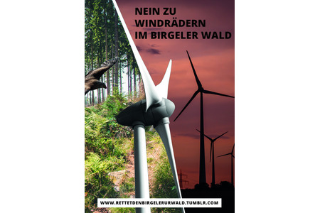 Foto della petizione:NEIN zum Bau von Windrädern im Birgeler Urwald in Wassenberg!