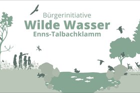 Bild der Petition: Nein zum Kraftwerksbau in Enns und Talbach