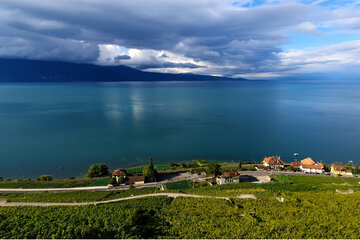 Image de la pétition Non au nouveau régime douanier absurde pour les importations de vin — une idée à pleurer !