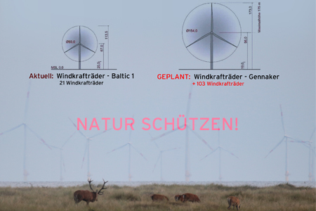 Pilt petitsioonist:NEIN zum Offshore-Windpark Gennaker vor dem Fischland-Darss-Zingst