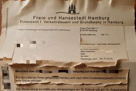 Bild der Petition: „Nein zur Erhöhung der Hundesteuer um 33% 2027 in Hamburg – Stopp