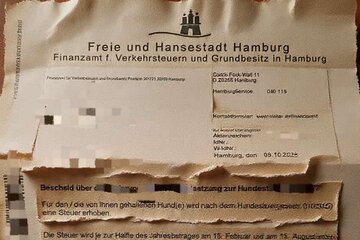 Bild der Petition „Nein zur Erhöhung der Hundesteuer um 33% 2027 in Hamburg – Stopp