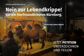 Kuva vetoomuksesta:NEIN zur Lebendkrippe – für ein tierfreundlicheres Nürnberg