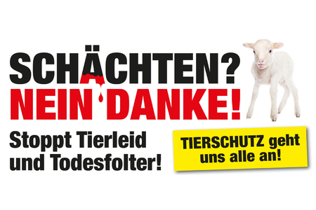Bild der Petition: Nein zum Verkauf von geschächtetem Fleisch in Bruck/Mur