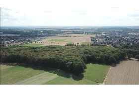 Φωτογραφία της αναφοράς:NEIN zur sinnlosen Zerstörung der Natur am Junkerberg durch den Bau der L364n (OU Hückelhoven)