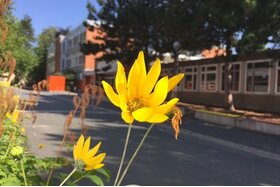 Bild der Petition: Neubau der Grundschule Wettbergen JETZT!