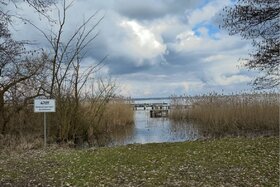 Image of the petition: Neuer Badesteg in Untergöhren am Fleesensee - Ein Treffpunkt für Generationen!