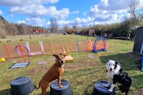 Foto van de petitie:Neuer Standort für Hundeschule in Britz