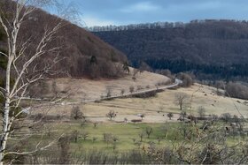 Bild der Petition: Neuffener Steige L1250:  stoppt die Lärmbelästigung  und die Gefährdung der Verkehrsteilnehmer!