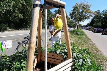 Bild der Petition Neuköllns Grünflächenamt sofort aufstocken