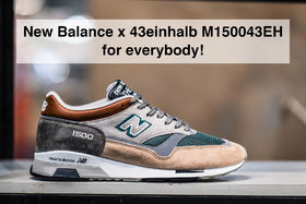 Picture of the petition:New Balance M150043EH »THE TRIP« from 43einhalb