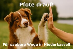 Bild der Petition: Niederkassel: Hundekotbeutel erhalten – für ein sauberes und tierfreundliches Stadtbild!