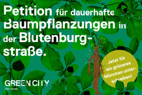 Foto della petizione:Noch mehr Grün für die Blutenburgstraße!