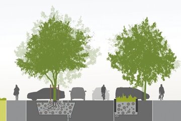 Bild der Petition Nürnberg: Klimaschutznotwendige Erhöhung von städtischer Fahrbahnbegrünung