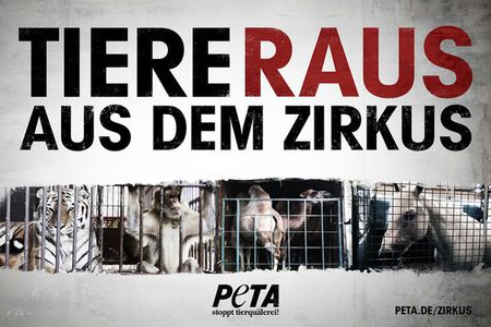 Bild der Petition: OB Sven Gerich: Verbieten Sie Zirkusse mit Tieren in Wiesbaden!