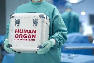 Bild der Petition Entscheidung für oder gegen Organspende als Bestandteil des Personalausweises