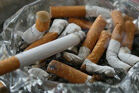 Image of the petition: Oblige the tobacco industry to use biodegradable Cigarette Butts