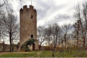 Bild der Petition: Offenhaltung des Zähringer Burgturms