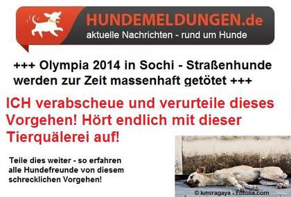 Dilekçenin resmi:Olympia 2014 in Socchi - Straßenhunde werden zur Zeit massenhaft getötet