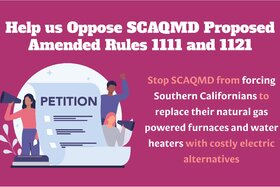 Picture of the petition:OPPOSE – Proposed Amended Rules 1111 & 1121 - as released February 28