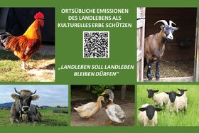 Bild der Petition: Ortsübliche Emissionen des Landlebens als kulturelles Erbe schützen