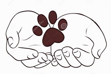 Image of the petition On Animal Protection and Welfare