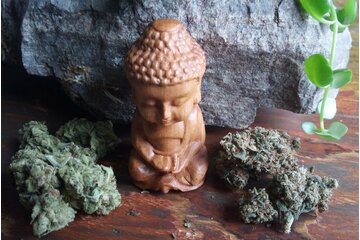 Image of the petition PayPal PAY my CBD