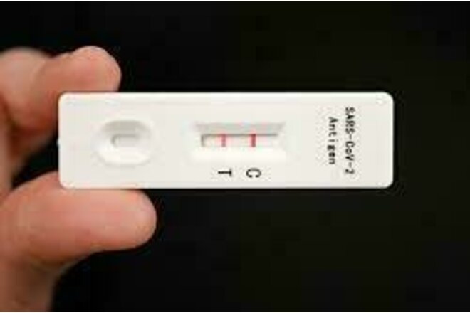 Image of the petition PCR-Test für Schüler*innen, Kitakinder und alle Mitarbeiter*innen von Schulen und Kitas