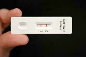 Bild der Petition: PCR-Test für Schüler*innen, Kitakinder und alle Mitarbeiter*innen von Schulen und Kitas