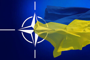 Obraz petycji People around the world are asking NATO to close the airspace at least over Kyiv